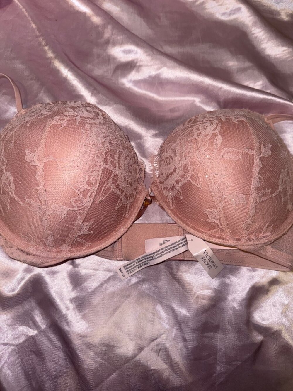 NWT Victoria’s Secret Pink Rose Shimmer Lace Push-Up Bra 34DD